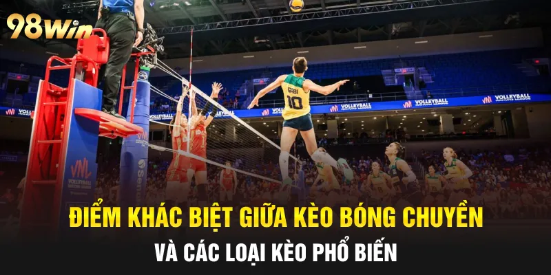Điểm khác biệt giữa kèo bóng chuyền và các loại kèo phổ biến